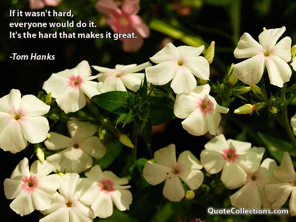Tom Cruise Quotes7